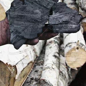 Продам высококачественный древесный уголь (берёза) для гриля и мангала