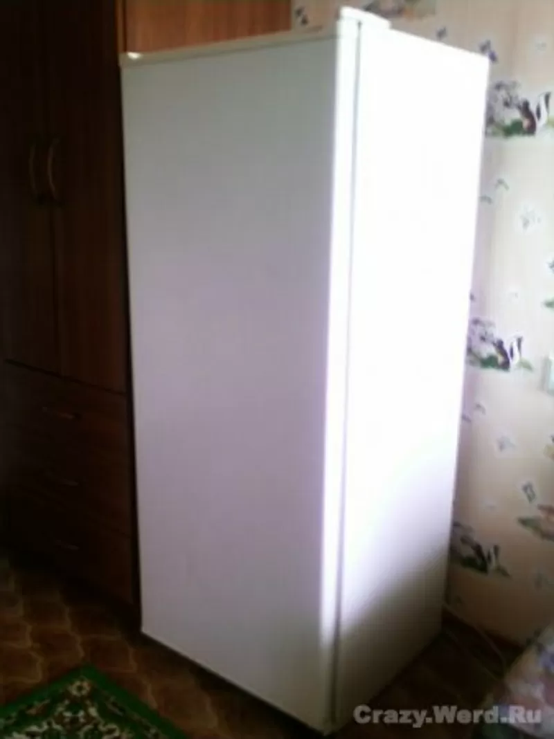 Холодильники- морозильники- витрины Б/У не дорого